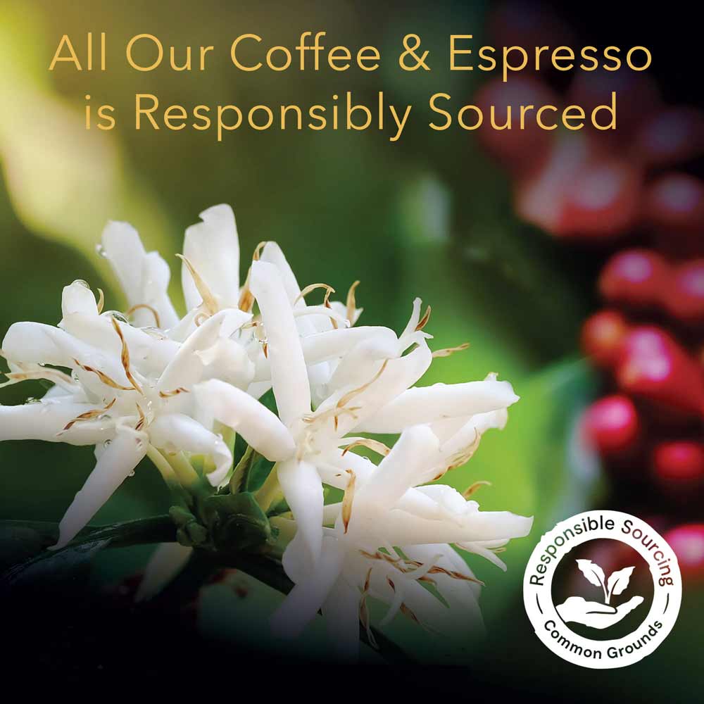 L'OR Papua New Guinea Espresso Capsules - Image 6
